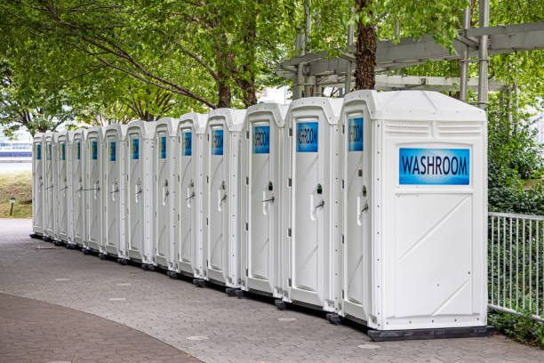 Best Sanitation services for porta potties  in Eagle Lake, WI